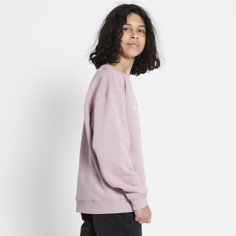 Printed sweatshirt "Liberty"  Berry